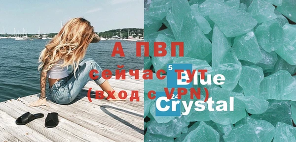 сатива Балахна